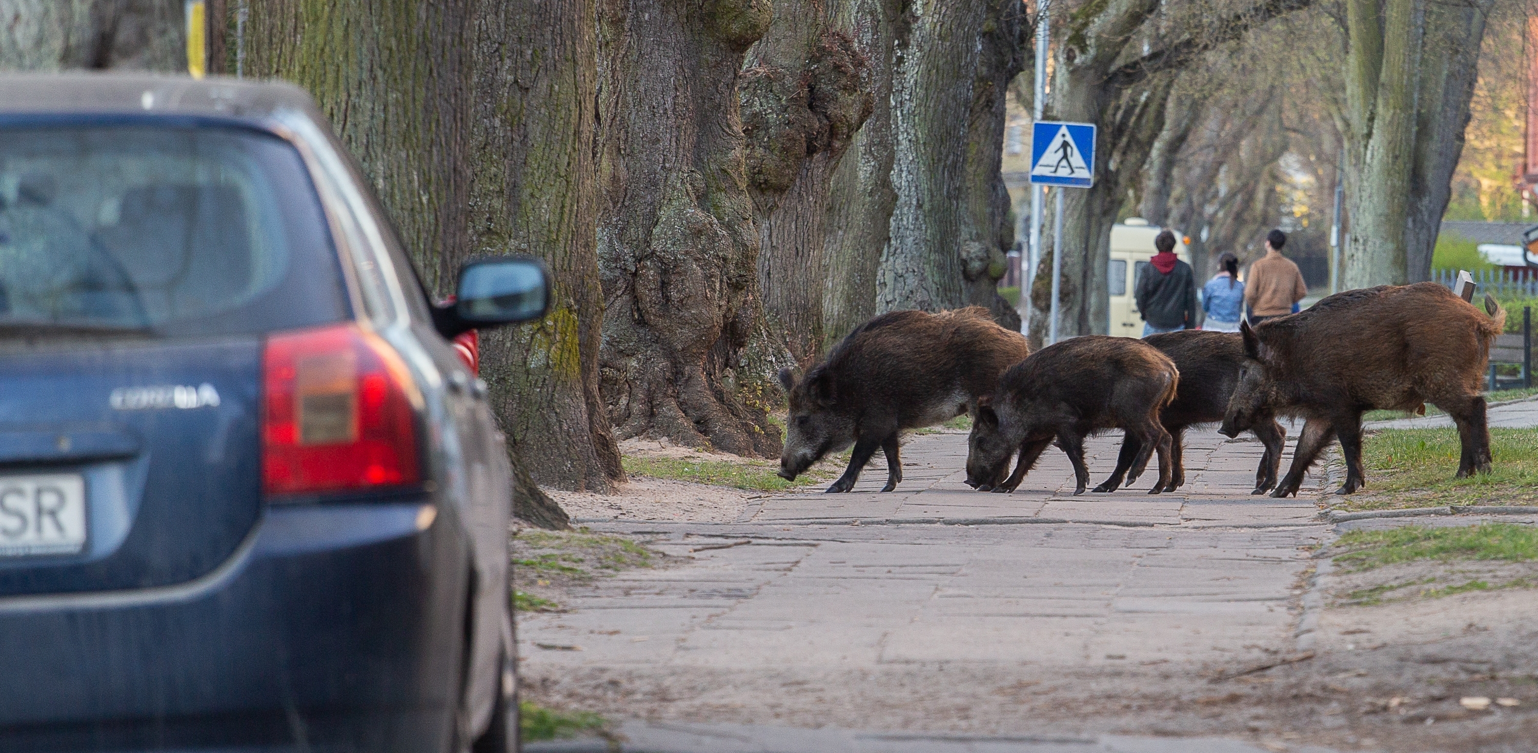 (Fot. Agencja KFP/Anna Rezulak)