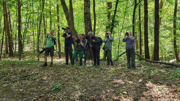 (Fot. Facebook.com/Edukacja przyrodnicza i nie tylko - Kasia Skakuj)