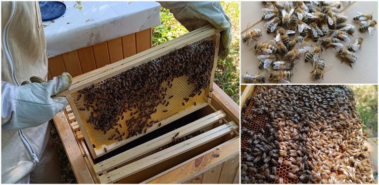 (Fot. Radio Gdańsk/Rafał Korbut)