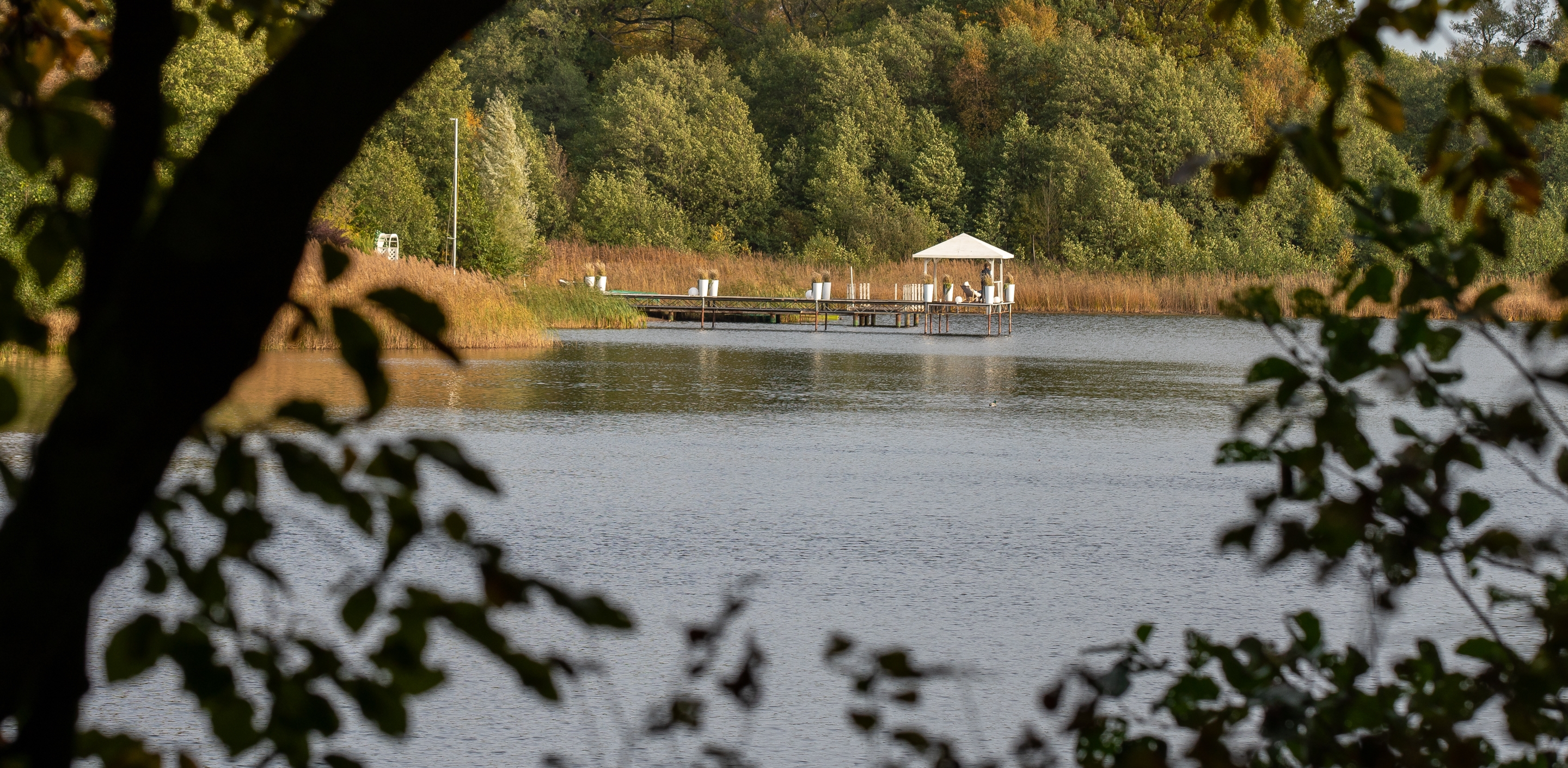 (Fot. Anna Rezulak / KFP)