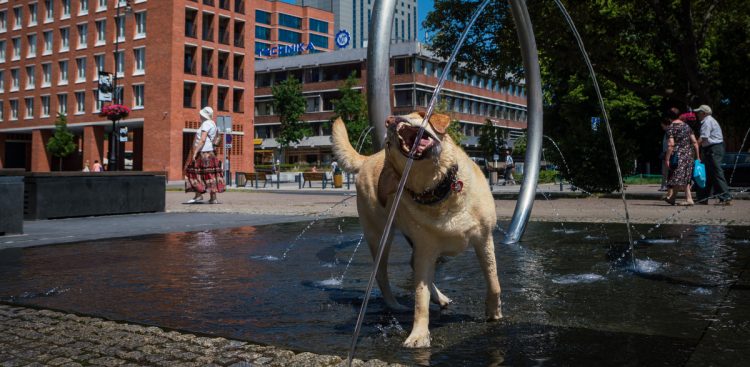 Upalne lato w mieście (fot. KFP/Anna Rezulak)