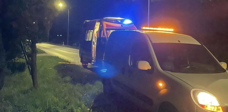 (fot. Miasteckie Stowarzyszenie Bezdomny Kundelek)