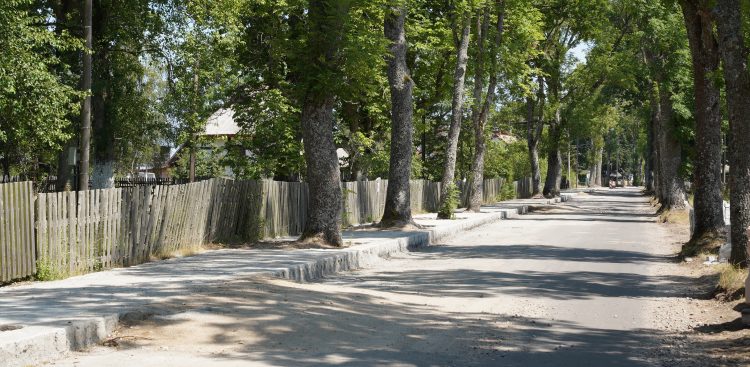 (fot. Radio Gdańsk/Alek Radomski)