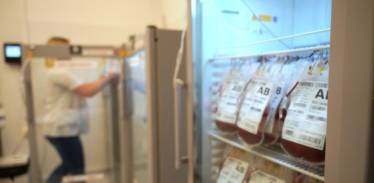 (fot. Radio Gdańsk/Alek Radomski)