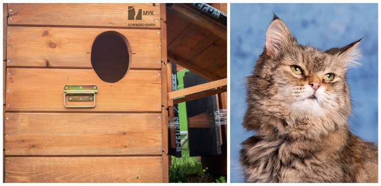 (Fot. materiały prasowe)