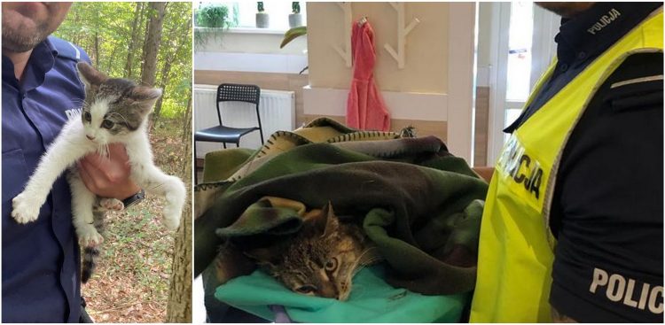 (fot. Pomorska Policja)