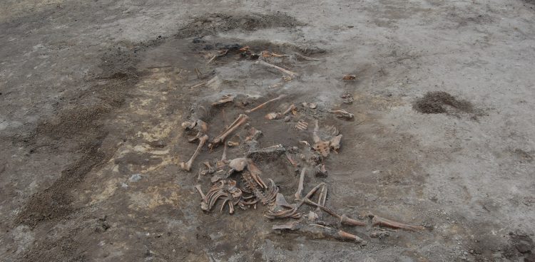 (Fot. wikimedia commons)