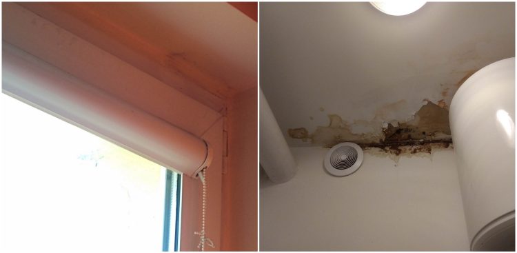 (Fot. Radio Gdańsk/Daniel Wojciechowski)