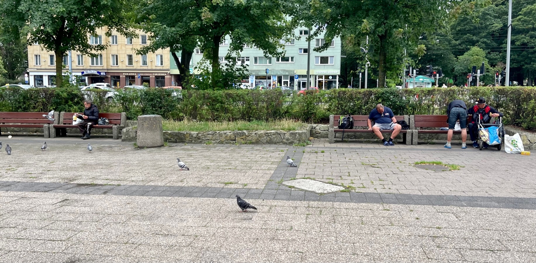 (Fot. Radio Gdańsk/Marta Włodarczyk)