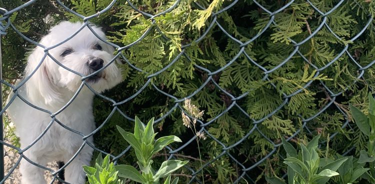 (Fot. Radio Gdańsk/Ola Woźniak)