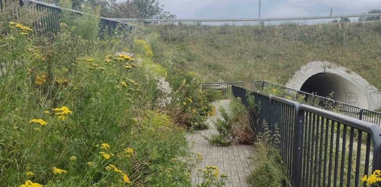 (Fot. Radio Gdańsk/Marta Włodarczyk)