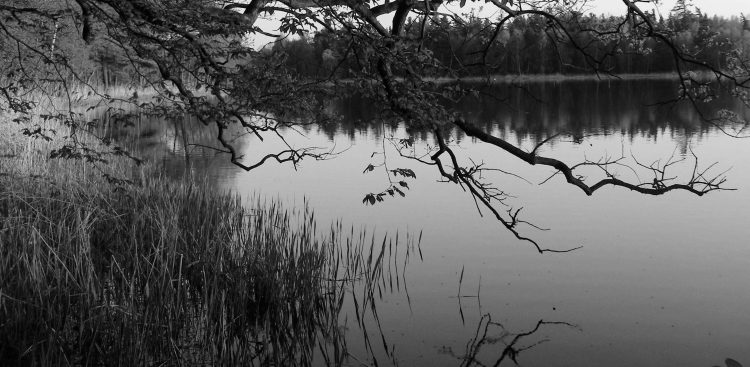 (Fot. Wikimedia Commons)