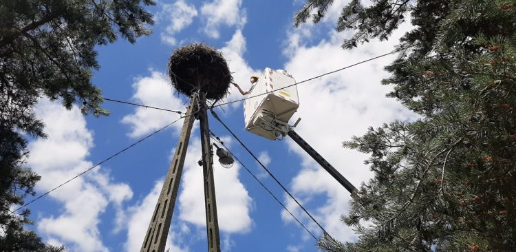 (Fot. archiwum własne/Wiesław Zbroiński)