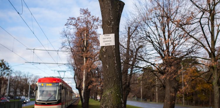 Kartka z napisem "Pomnik martwych gdańskich drzew" na pniu ściętego drzewa zawieszona przez artystkę "Among scratches" (fot. KFP/Anna Rezulak)