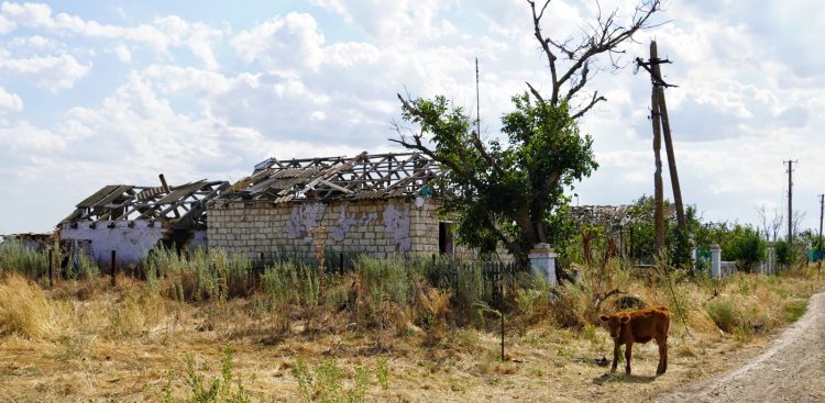 (Fot. PAP/Alena Solomonova)