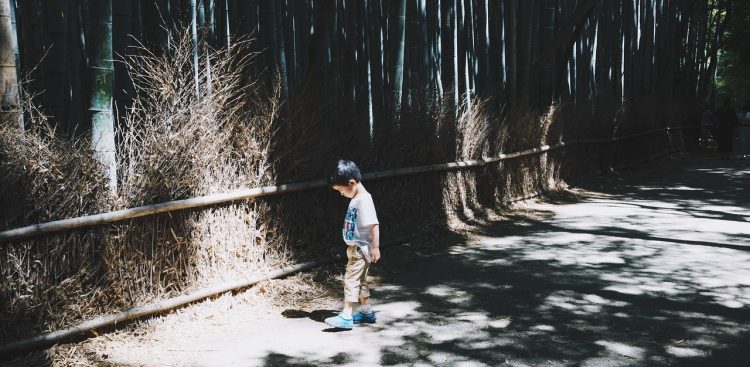 Zdjęcie ilustracyjne (fot. Pixabay)