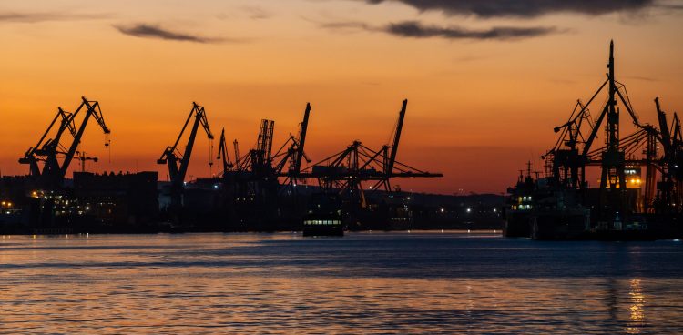 (Fot. Anna Rezulak / KFP)