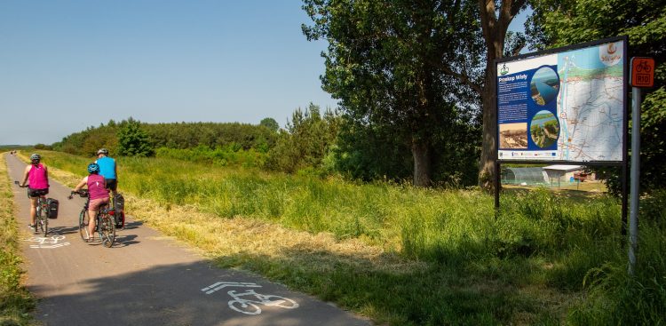 (fot. Paweł Marcinko / KFP)