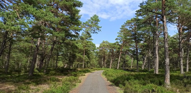 Trasa nadmorska w okolicach Kopalina. (fot. Radio Gdańsk/Sebastian Kwiatkowski)