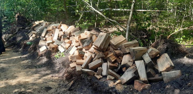 (Fot. Słowiński Park Narodowy)