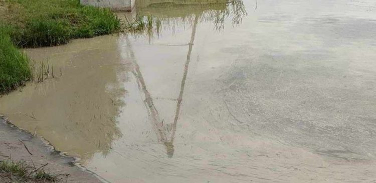 (Fot. świadek zdarzenia)