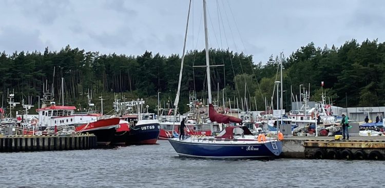 (fot. H. Bierndgarski)