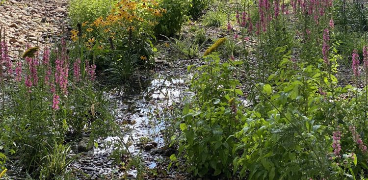 (Fot. UM w Słupsku)