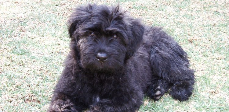 (Fot. Wikimedia Commons/Franz27)