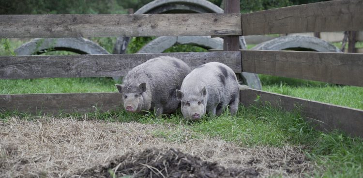 (fot. Radio Gdańsk/Alek Radomski)