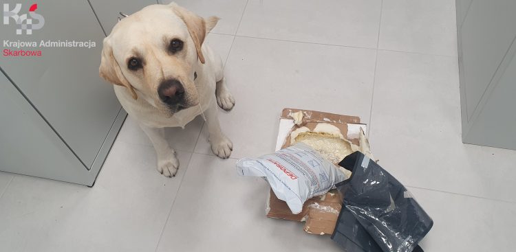 (Fot. mat. pras./Krajowa Administracja Skarbowa)