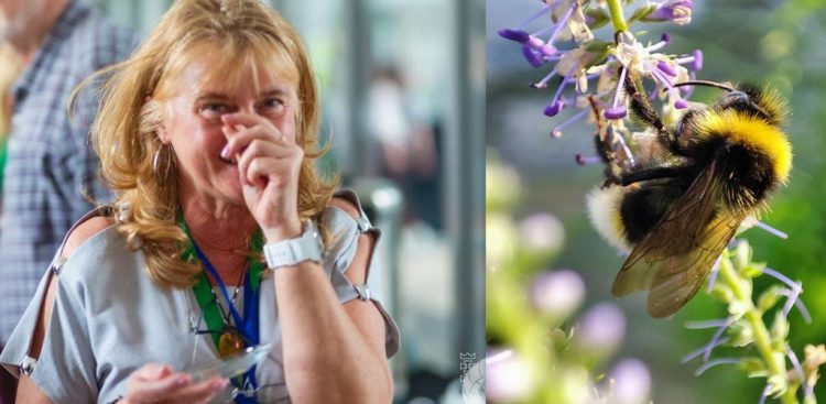 (fot. Rafał Mielczarek/Wikipedia)