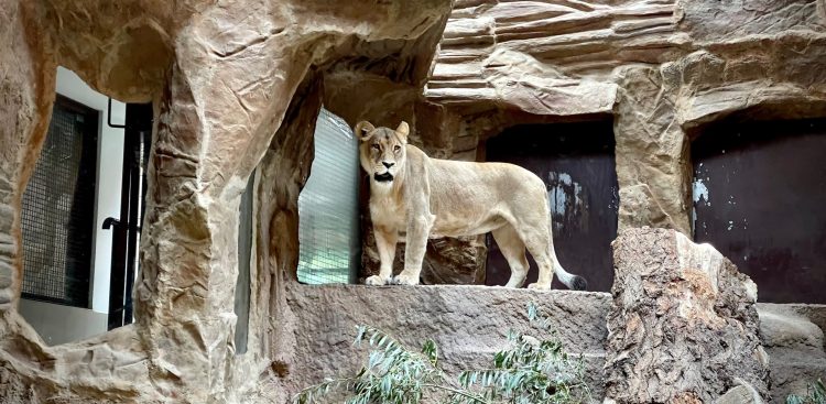 (fot. Radio Gdańsk/Marta Włodarczyk)