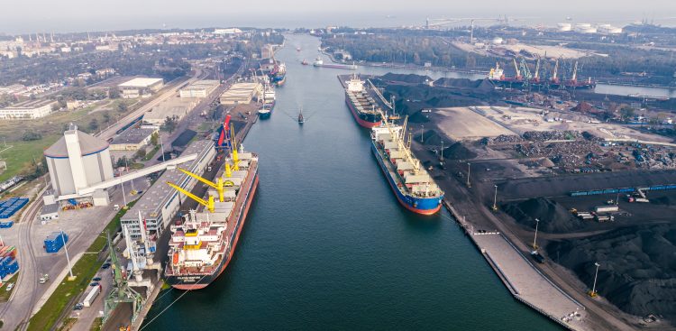 (Fot. materiały prasowe)