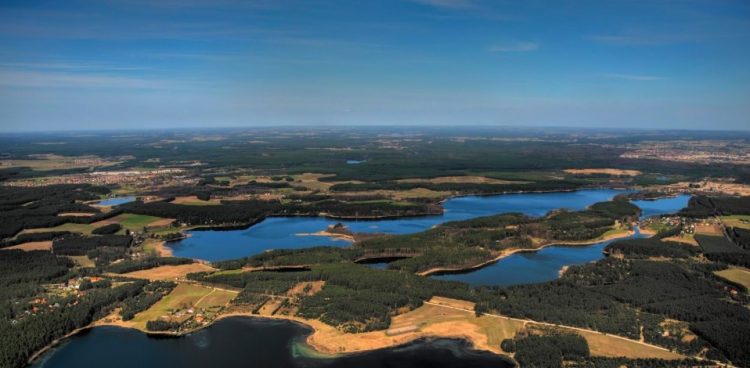 (Fot. Wikimedia Commons/Janusz Recław)