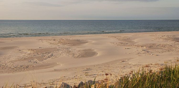 (Fot. Wikimedia Commons/Henryk Bielamowicz)