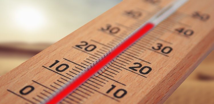 Zdjęcie ilustracyjne, (fot. Pixabay.com)