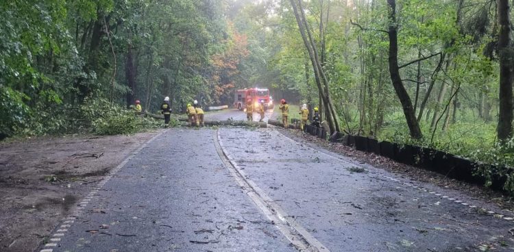 (Fot. Facebook.com/Komenda Powiatowa PSP w Nowym Dworze Gdańskim)