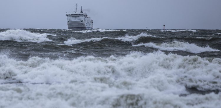 (fot. Krzysztof Mystkowski / KFP)