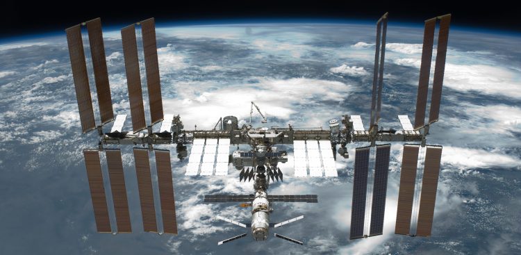 (Fot. Wikimedia Commons)