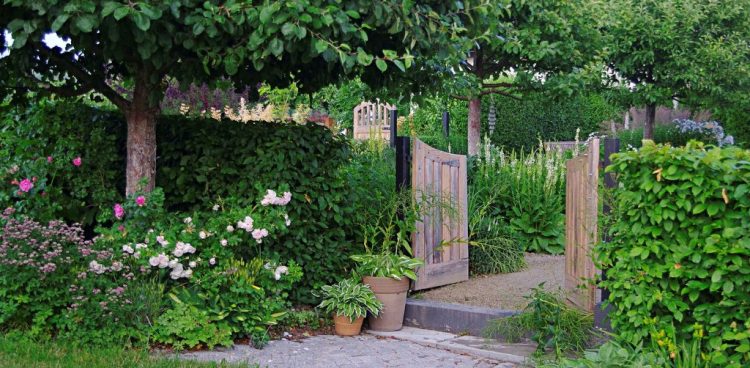 (Fot. Agnieszka Hubeny-Żukowska)