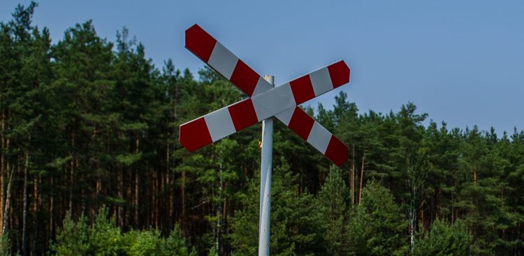 (Fot. Mateusz Ochocki / KFP)