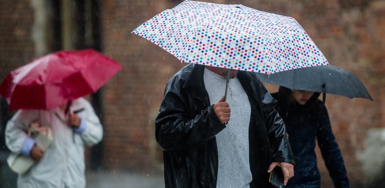 (Fot. Mateusz Ochocki / KFP)