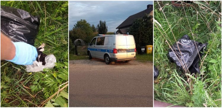 (fot. Katarzyna Kamińska)