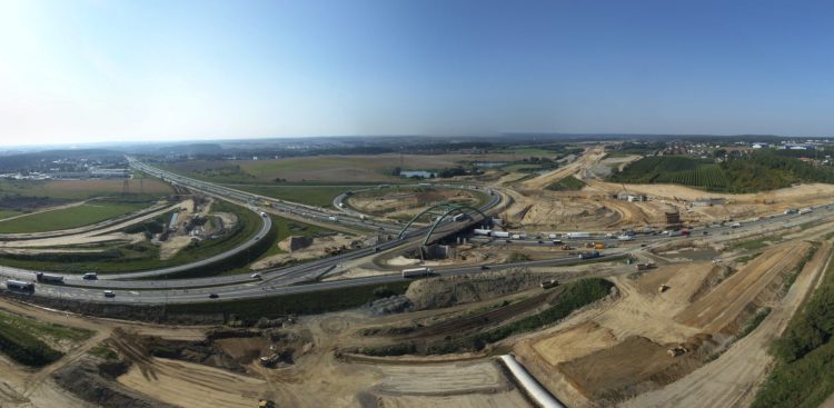 (fot. Kobylarnia S.A.)