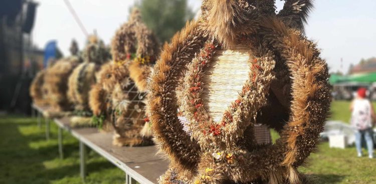 (Fot. Radio Gdańsk/Przemysław Woś)