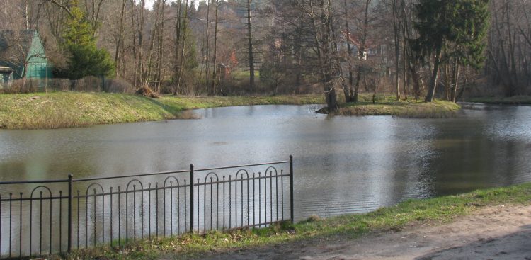 (Fot. Wikimedia Commons/Artur Andrzej)