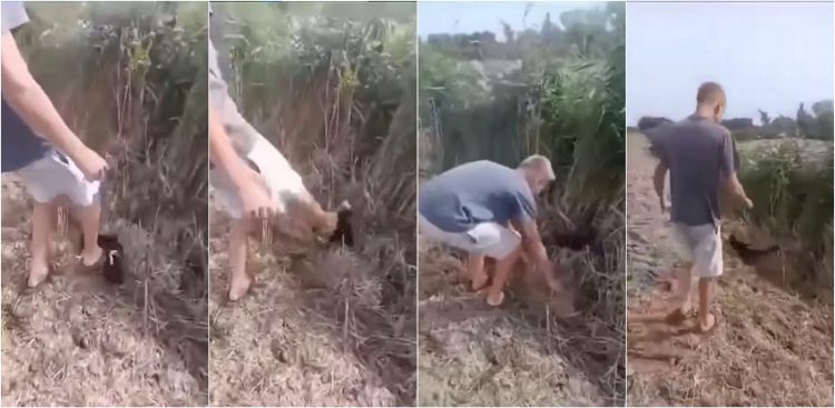 (Fot. Facebook.com/Fundacja Psa Karmela)