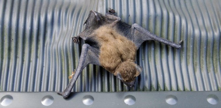 Zdjęcie ilustracyjne (Fot. KFP/Maciej Kosycarz)