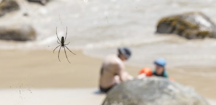 Zdjęcie ilustracyjne (fot. Pixabay.com)