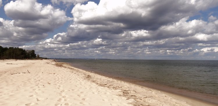 (Fot. Wikimedia Commons)